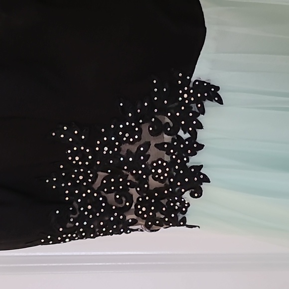 Mint and Black Applique Fitted Gown - Picture 5 of 7